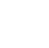 White Stacked Phin Logo