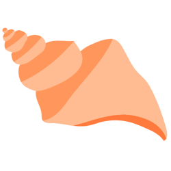 Conche Shell