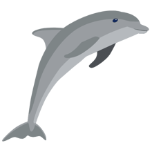 Dolphin Accent