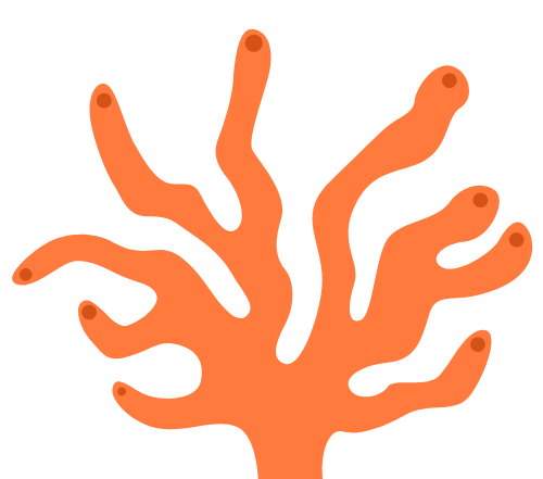 Orange Coral 3-1