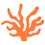 Orange Coral 3
