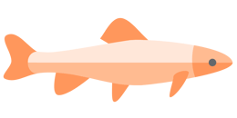 Orange Fish Long accent