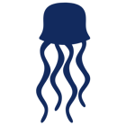 dark scenic Jellyfish