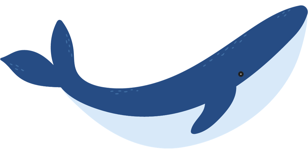 Whale Transparent
